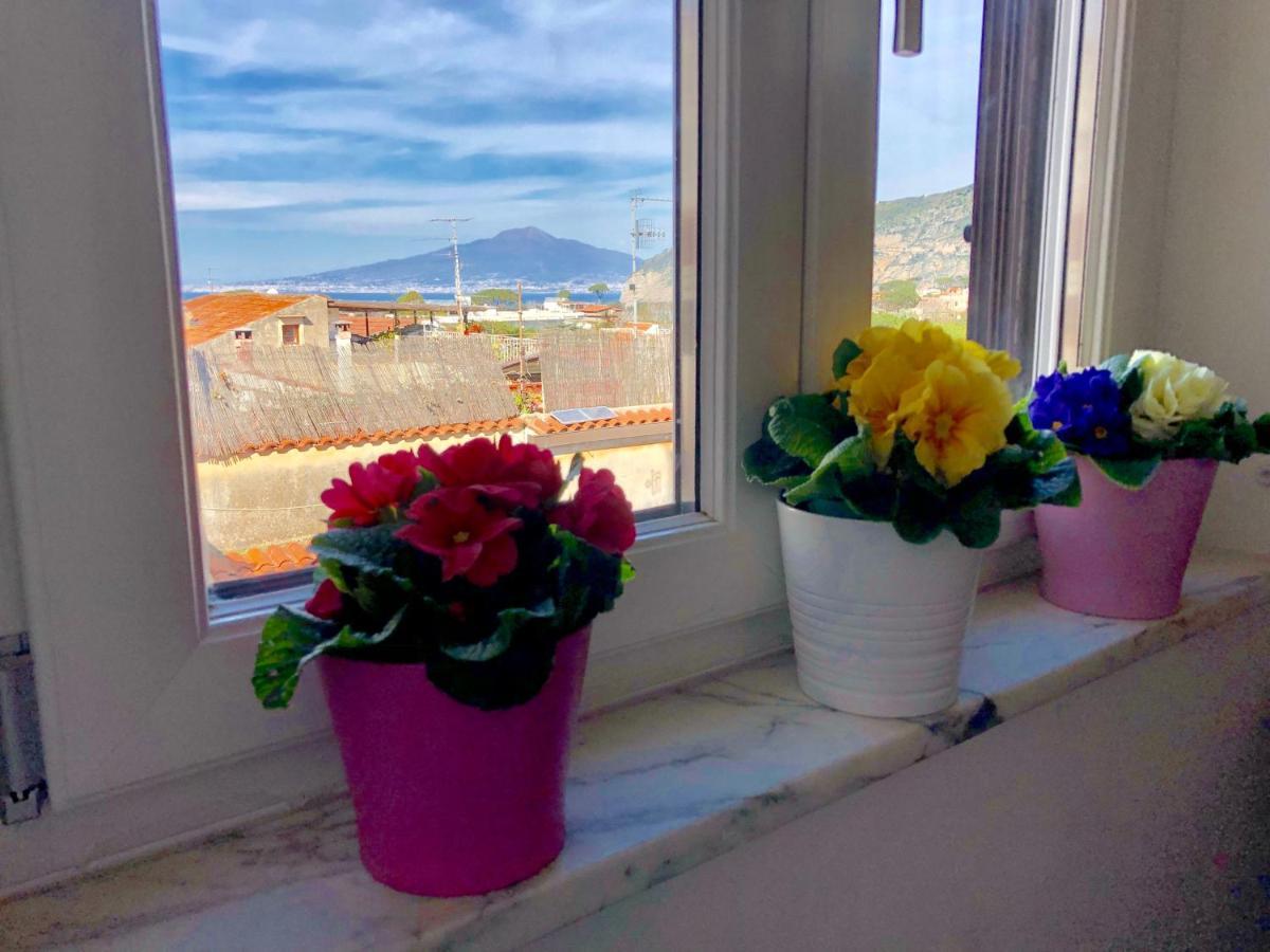 Vesuvio House Appartamento Indipendente E Centrale Sant'Agnello Luaran gambar